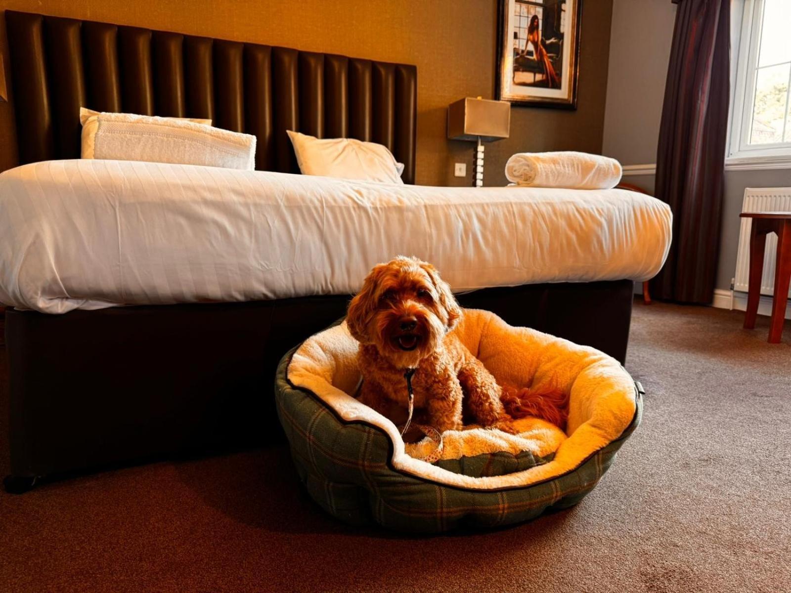The Ashbourne Hotel North Killingholme Esterno foto